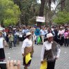 Peregrinos 2